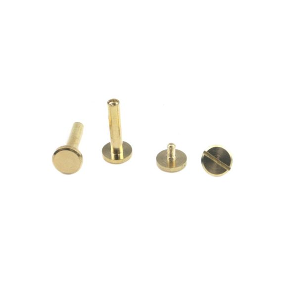 Nieten-Set mit Tulead Chicago Schrauben - Hochwertige Messing Nieten Buchbinderbolzen und Schrauben (10x4x20 mm) - 10 Stück Nietnägel für Leder Gürtel und Handtaschen-Schraubverschlüsse