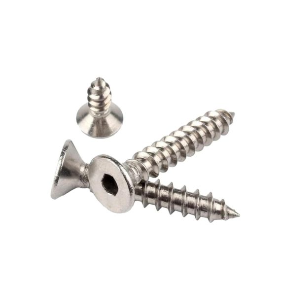 Edelstahl Inbusschrauben Set - Selbstschneidend Flachkopf M3x12mm 50 Stk