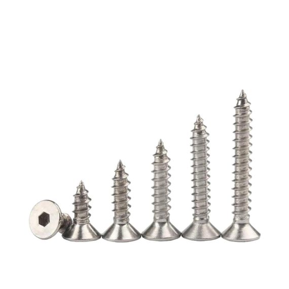 Edelstahl Inbusschrauben Set - Selbstschneidend Flachkopf M3x12mm 50 Stk