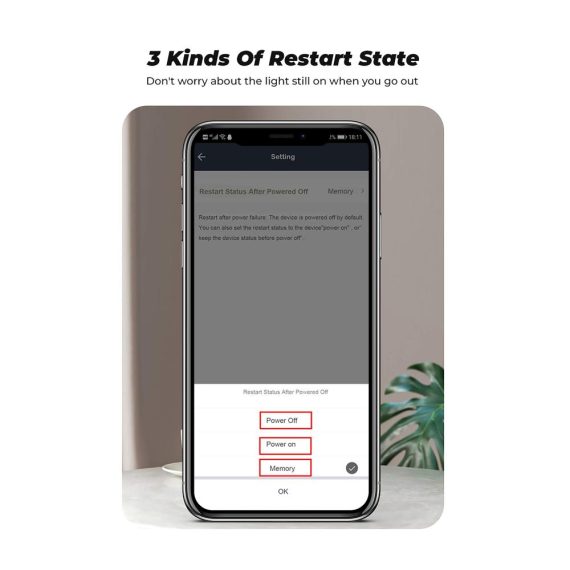2er Pack Smart WiFi Schalter - Ferngesteuerte Stecker mit 16A Relais Modul Lichtschalter für Smart Life App Google Home & Alexa Sprachsteuerung Google Assistant kompatibel