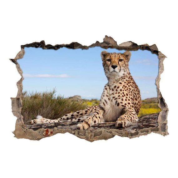 3D Effekt Tapeten Sticker Gepard Wandaufkleber für optische Täuschung im Raum | Savanne Dekoration für Wohnzimmer | 80x120cm