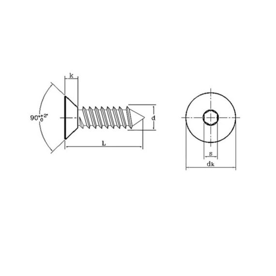 Edelstahl Inbusschrauben Set - Selbstschneidend Flachkopf M3x12mm 50 Stk