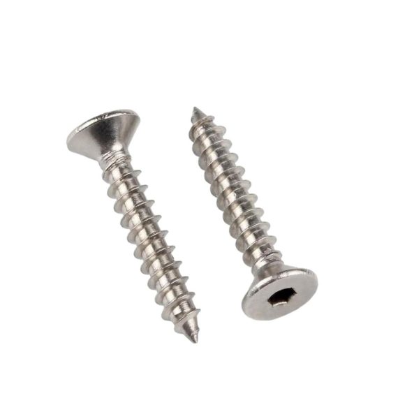 Edelstahl Inbusschrauben Set - Selbstschneidend Flachkopf M3x12mm 50 Stk